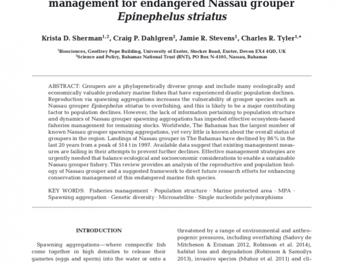 Integrating population biology into conservation management for endangered Nassau grouper Epinephelus striatus