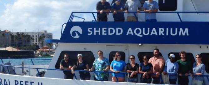 December 2016 Nassau grouper research team